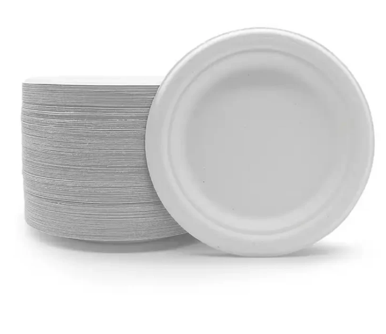 Hot! High-quality Compostable Plates