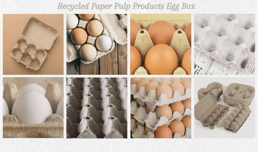Top 10 Benefits of Using Recycled Paper Pulp Products Egg Box for Poultry Farms