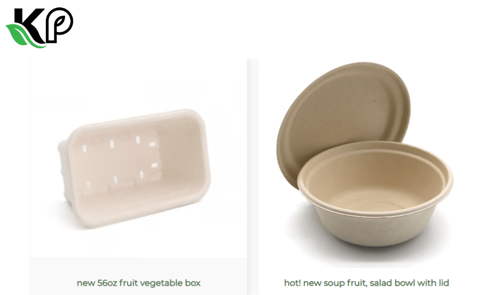 The Future of Sustainable Takeaway Packaging: Spotlight on Soup Fruit Salad Bowl with Lid