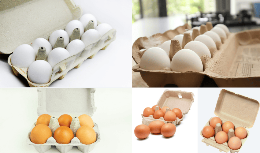 High quality egg box High quality egg box