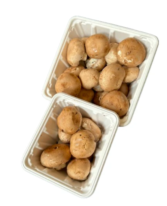 Hot! GreenPack Rectangle Mushroom Tray 57oz