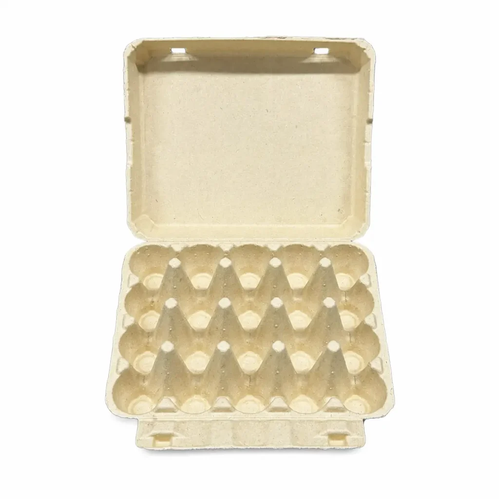 Open front view of 20-count molded pulp egg carton