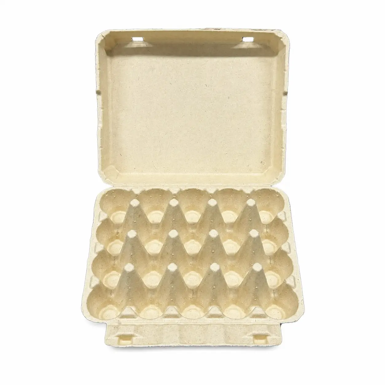 20-Count Molded Pulp Egg Carton Open Front View Open front view of 20-count molded pulp egg carton