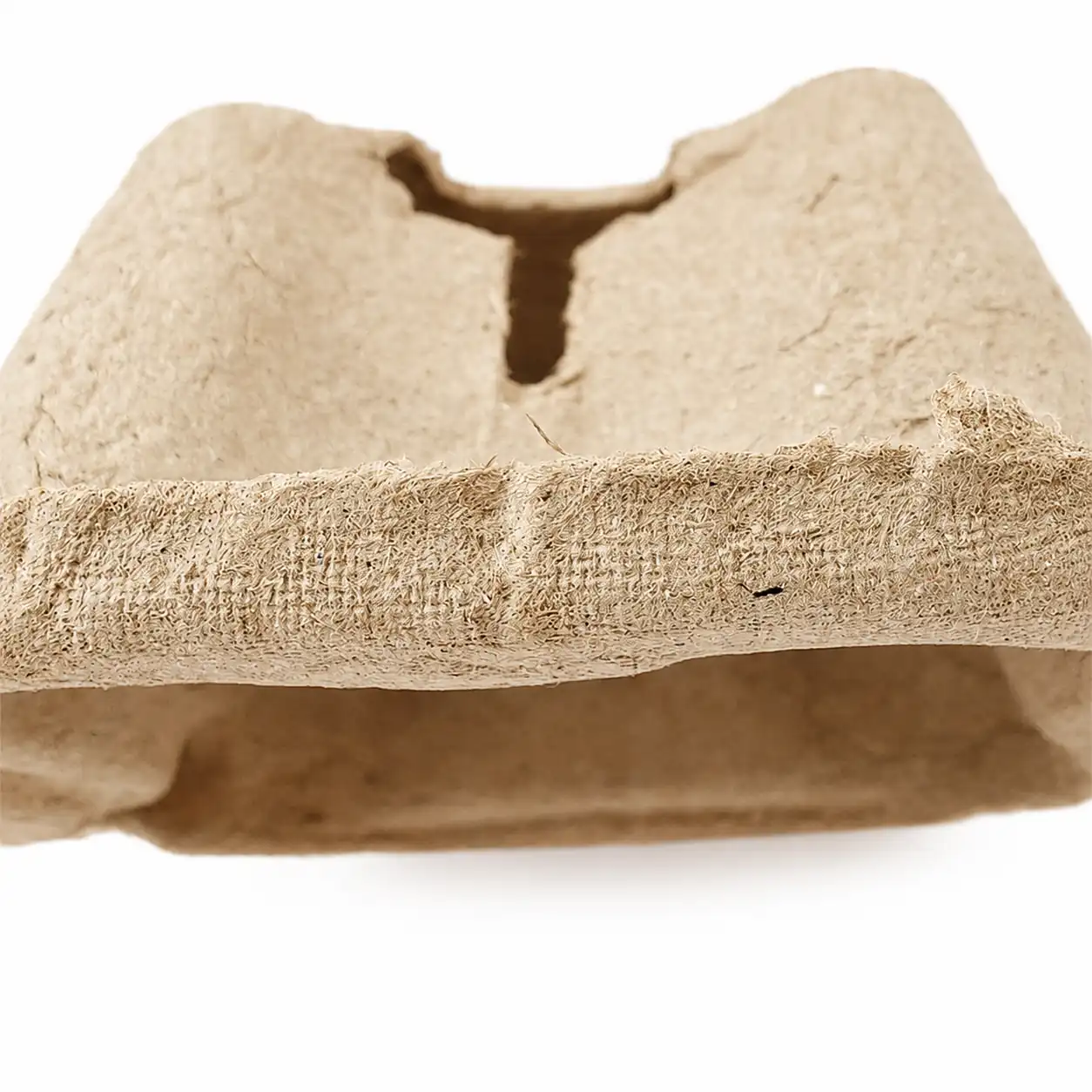 Tearable 2-Cup Pulp Carrier Edge Detail Edge detail of tearable 2-cup pulp carrier