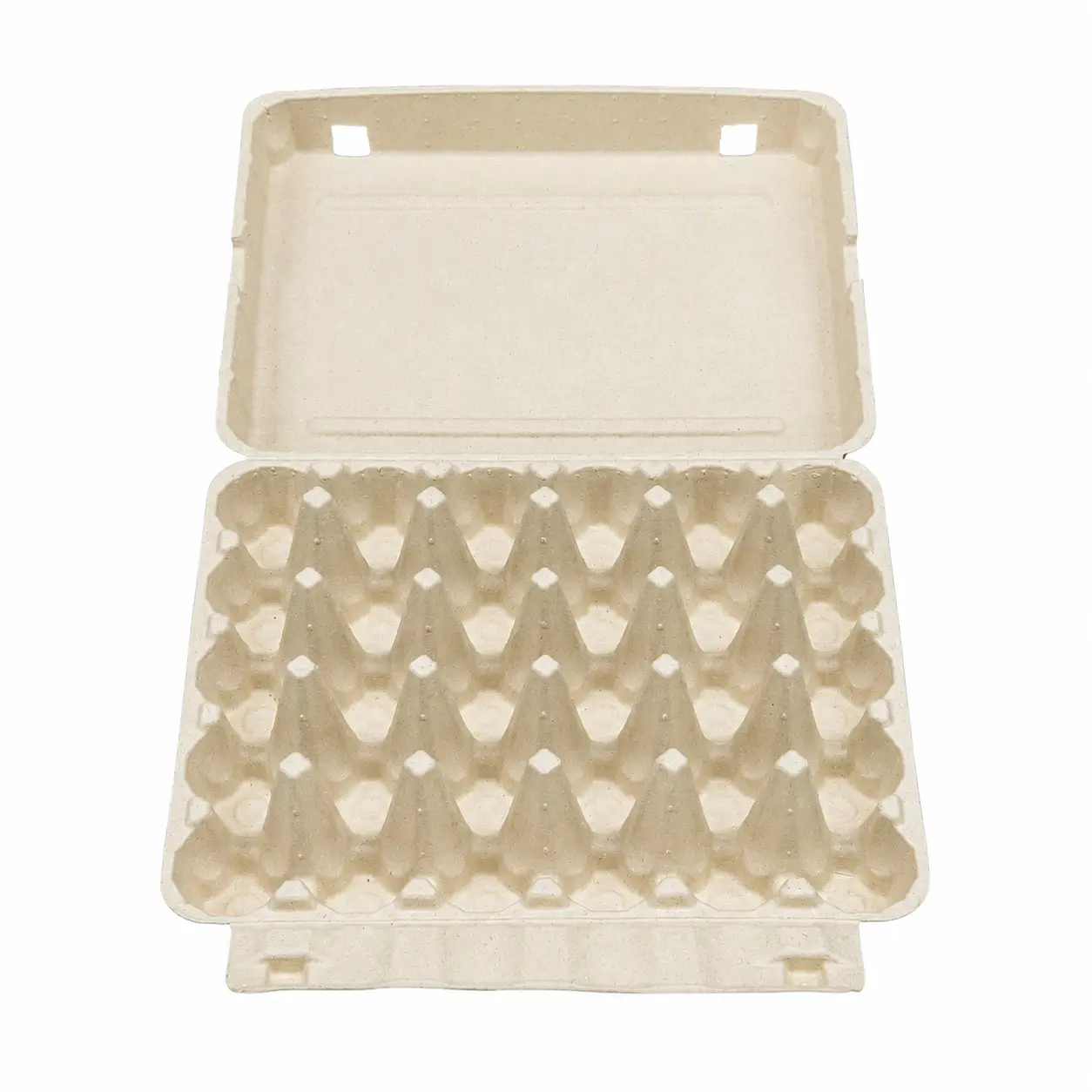 30-Count Molded Pulp Egg Carton Open Top View Open top view of 30-count molded pulp egg carton