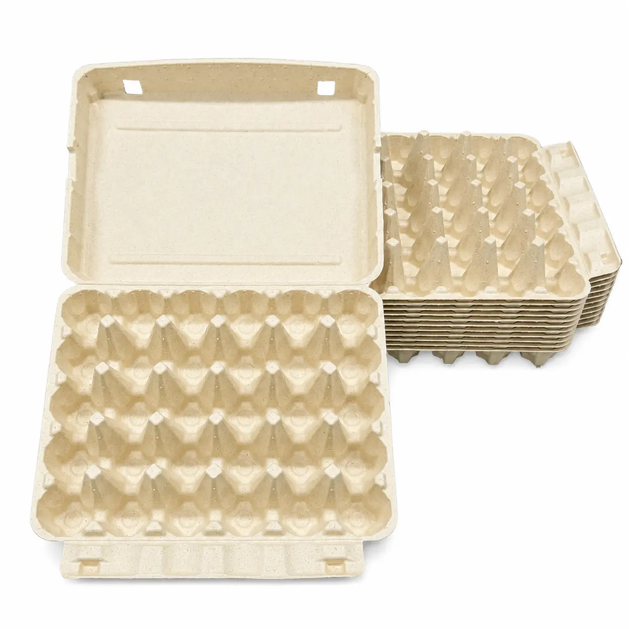 30-Count Molded Pulp Egg Carton Stacked Display Open 30-count molded pulp egg carton with stacked cartons behind