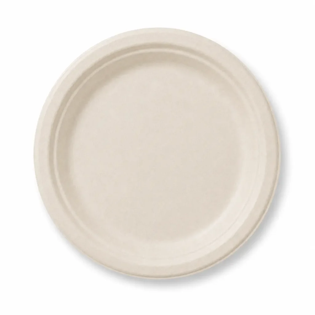 Top view of a natural-color 9-Inch Sugarcane Bagasse Round Plate showing its broad single-section serving area and raised circular rim