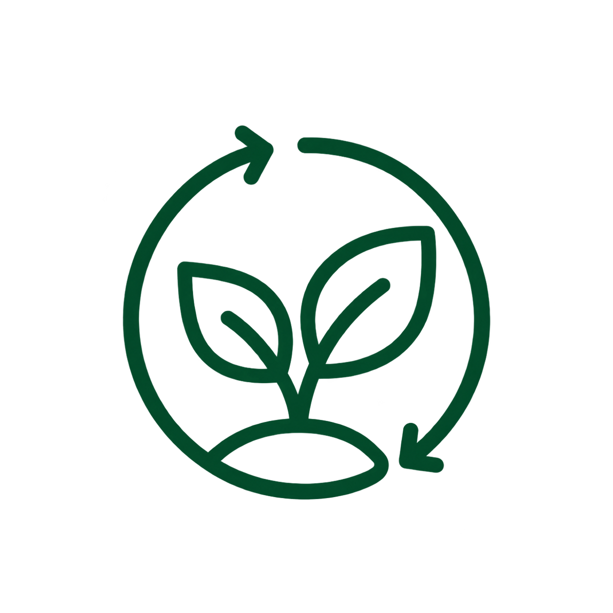 Sustainable Focus