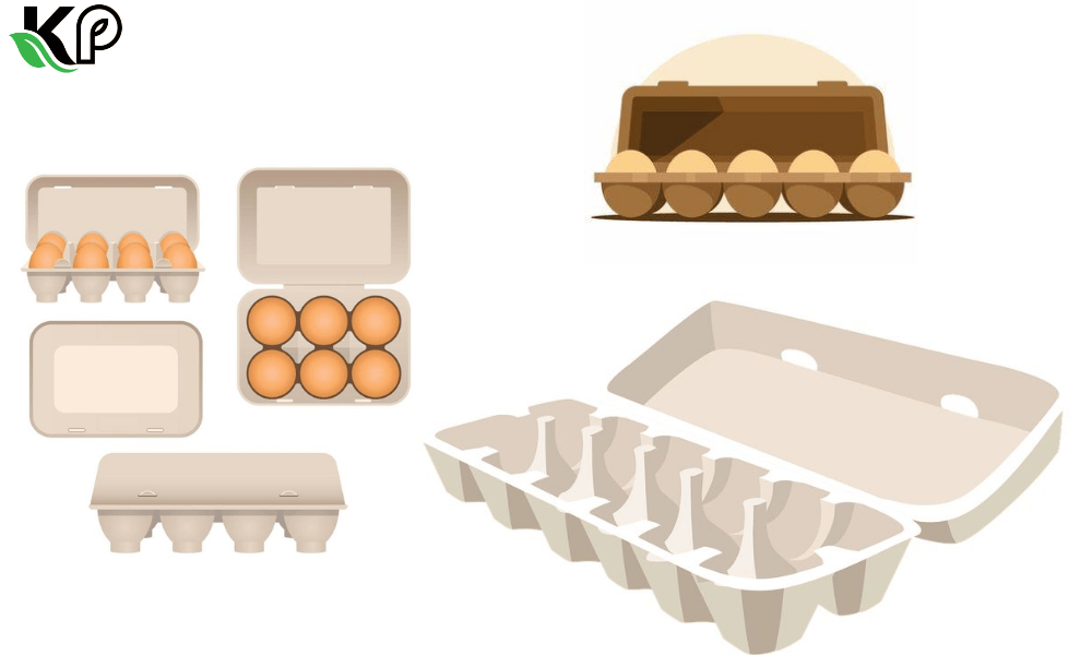 Sustainable Policy Integration: The Future of Recycled Paper Pulp Egg BOX