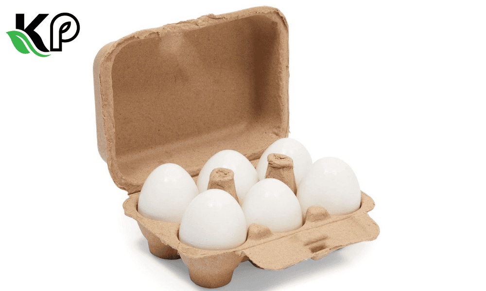 Top 6 Recycled Pulp Egg Box Cartons Comprehensive Guide