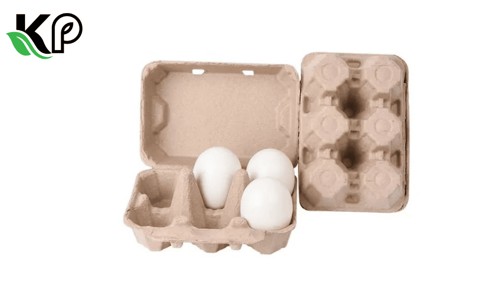 Egg Box supplier