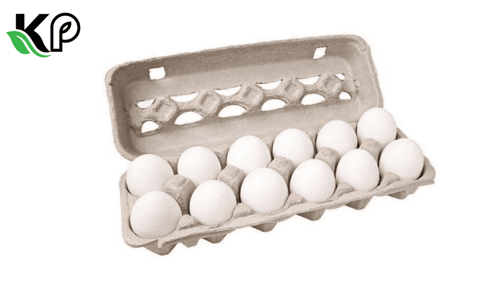 wholesale Egg Box