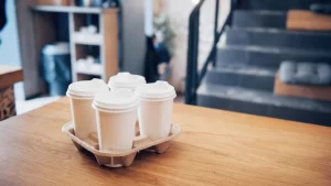 Bamboo-Pulp-Cup-Holder.webp