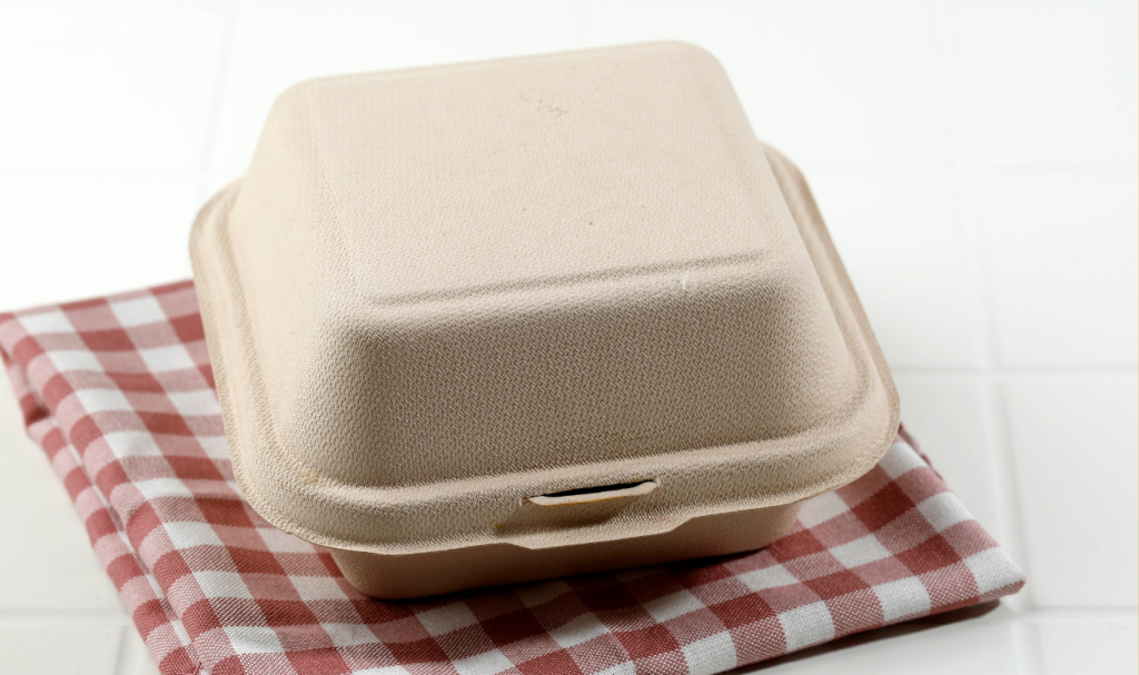 Biodegradable takeaway food box with lid