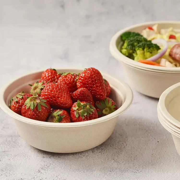 Biodegradable takeaway food container salad bowl