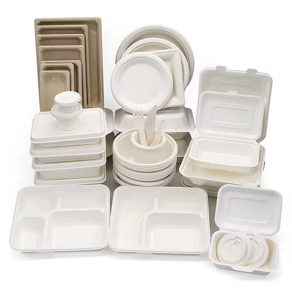 A Comprehensive Guide to Disposable Paper Plate Sizes and Their Uses